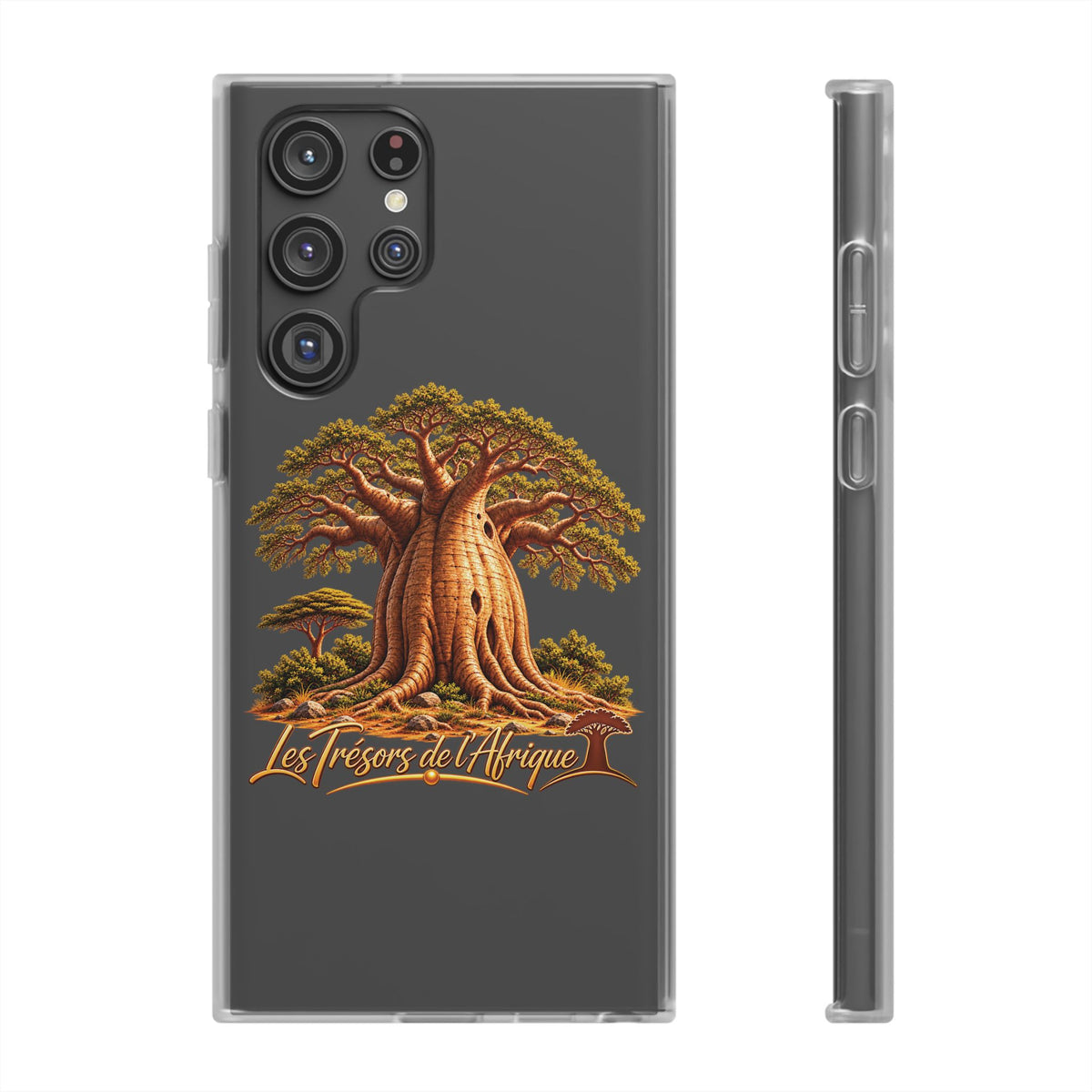 Coque – Le Baobab