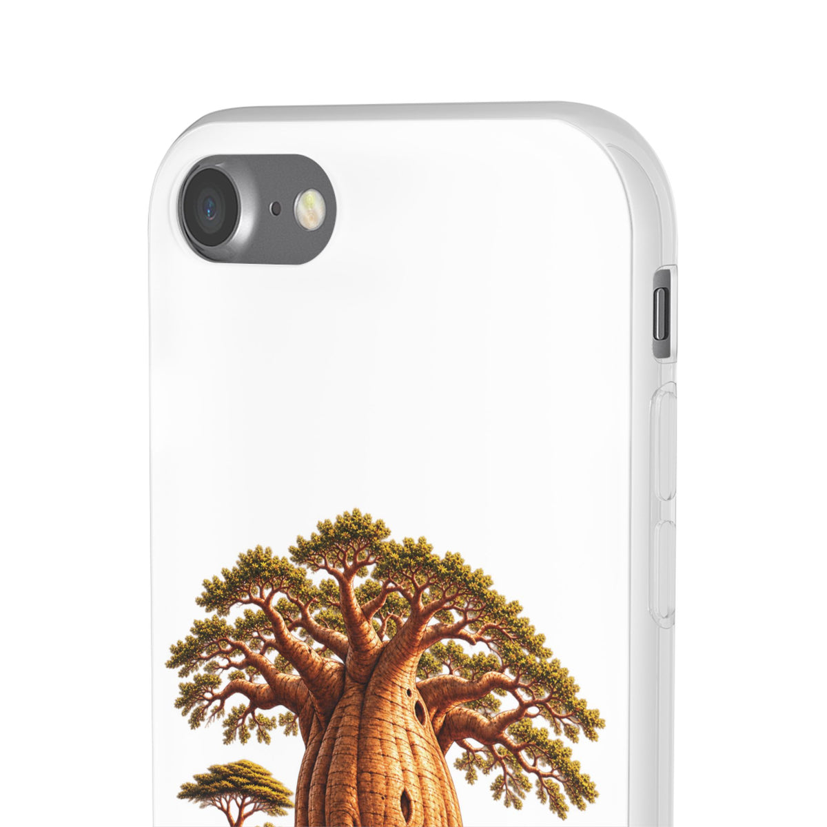 Coque – Le Baobab