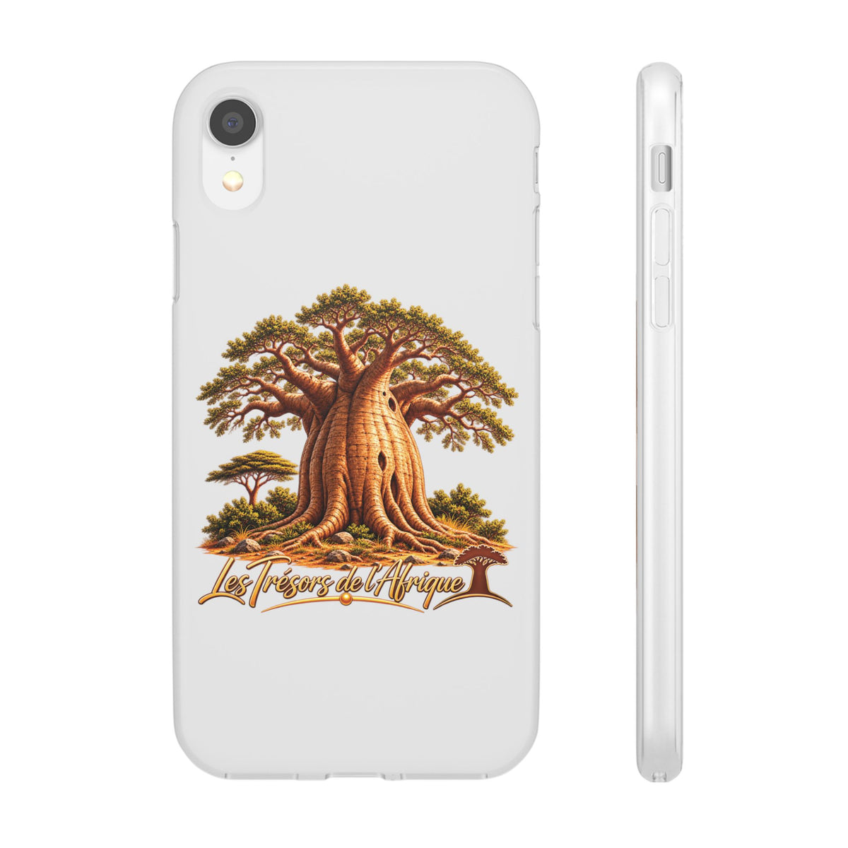 Coque – Le Baobab
