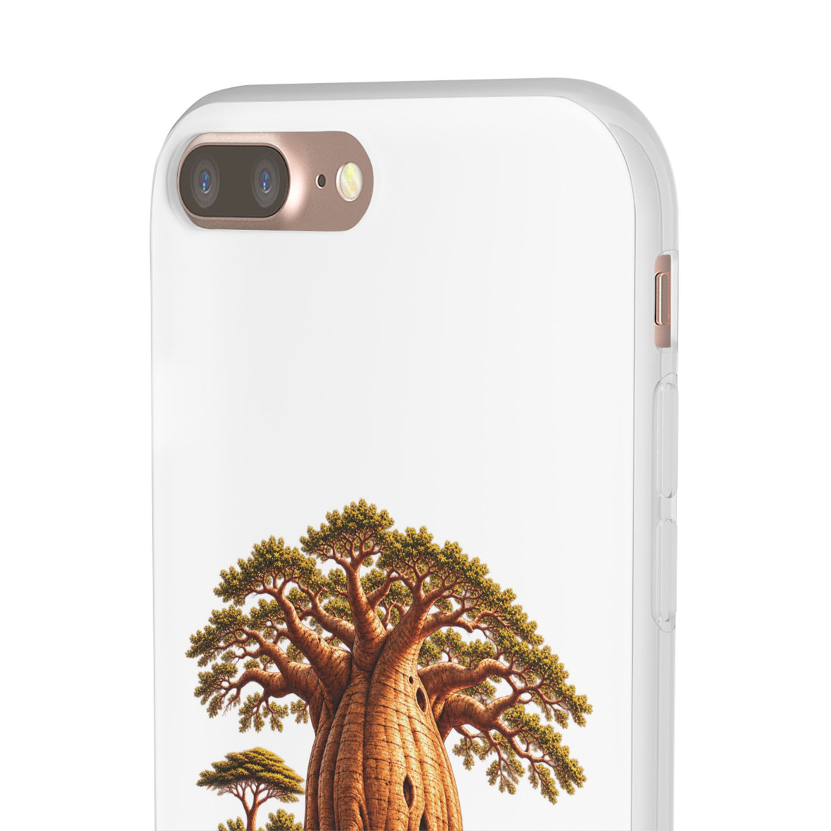 Coque – Le Baobab