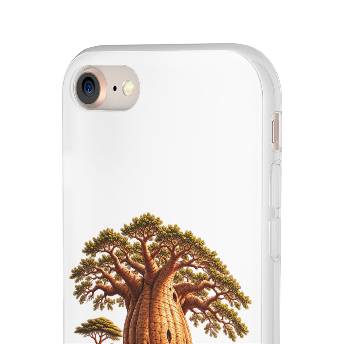 Coque – Le Baobab
