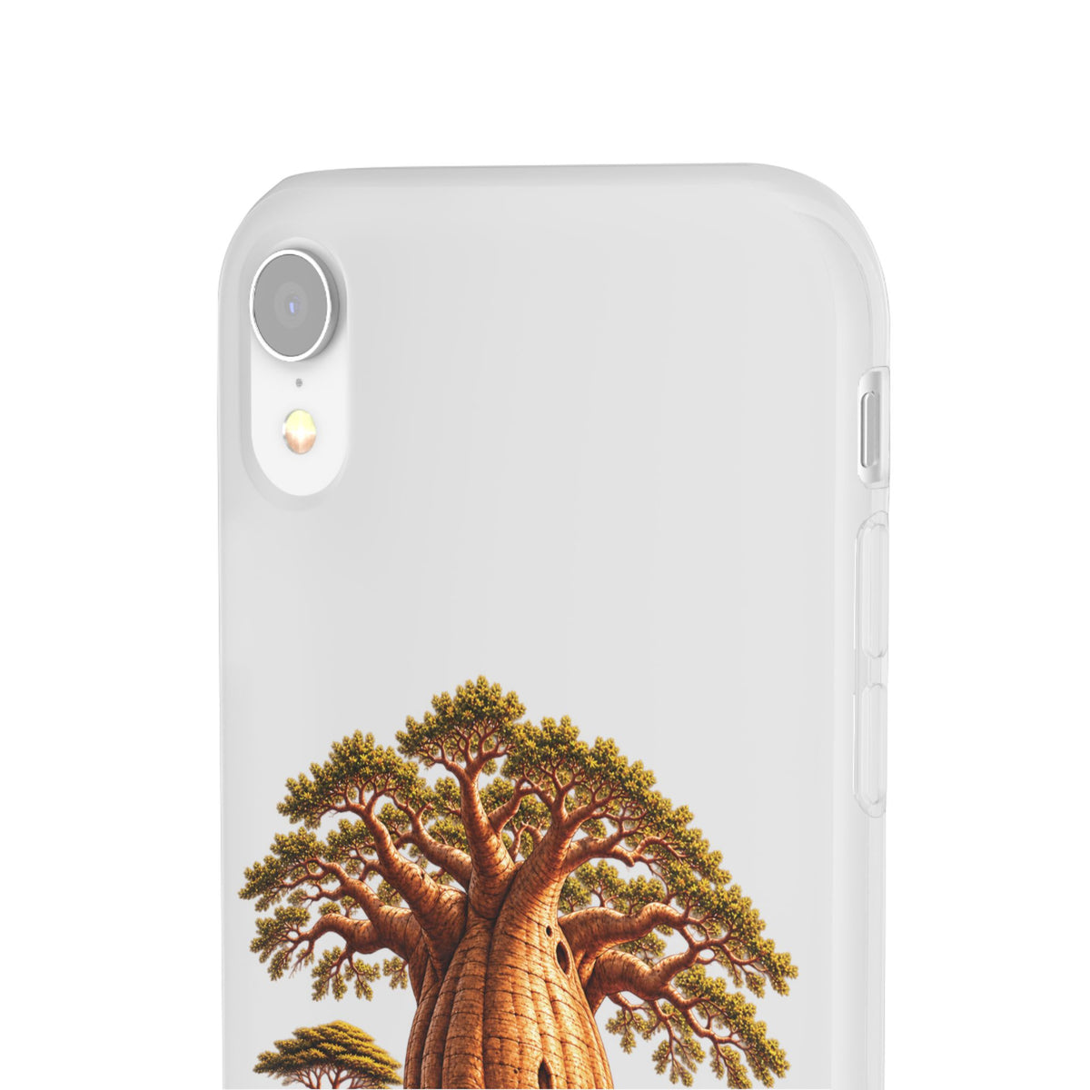 Coque – Le Baobab