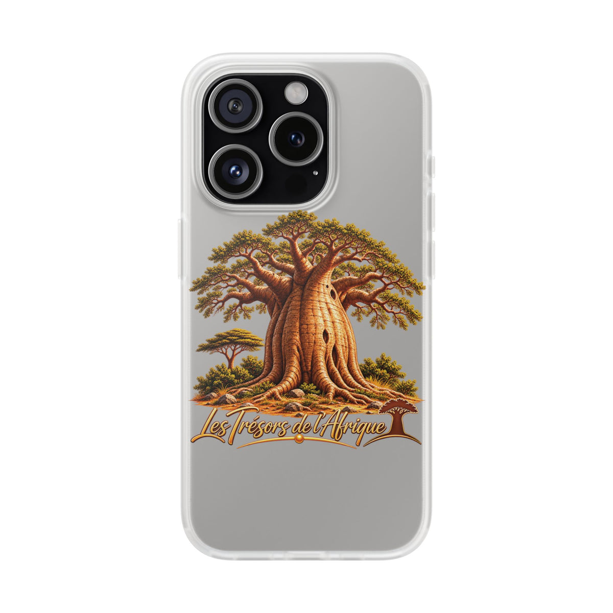 Coque – Le Baobab