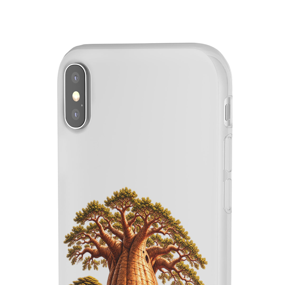 Coque – Le Baobab