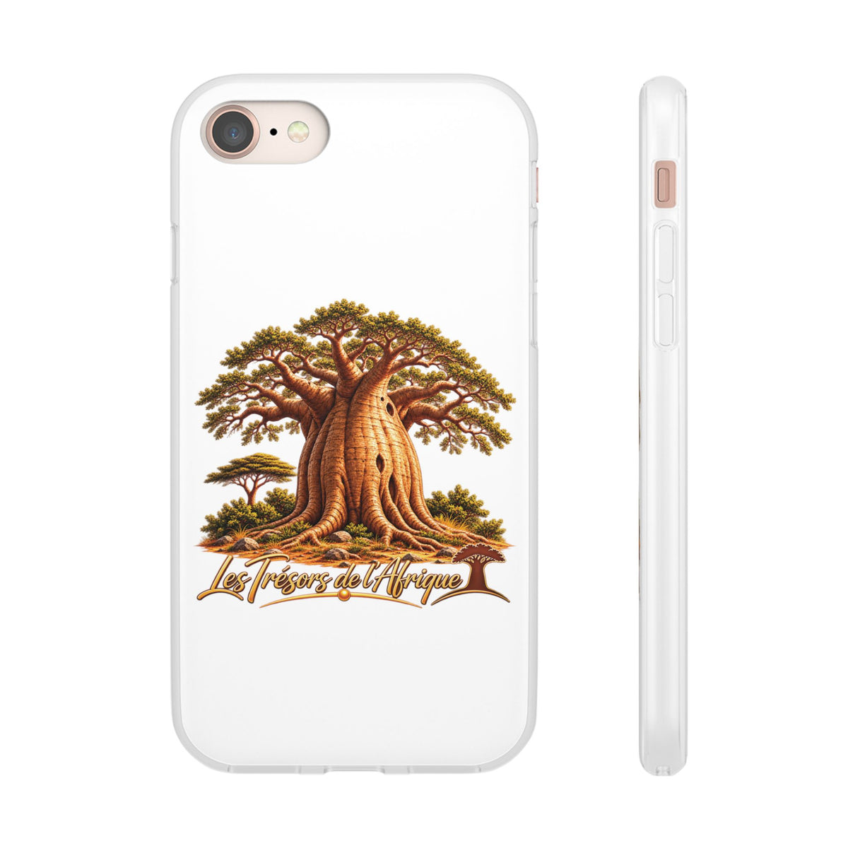 Coque – Le Baobab