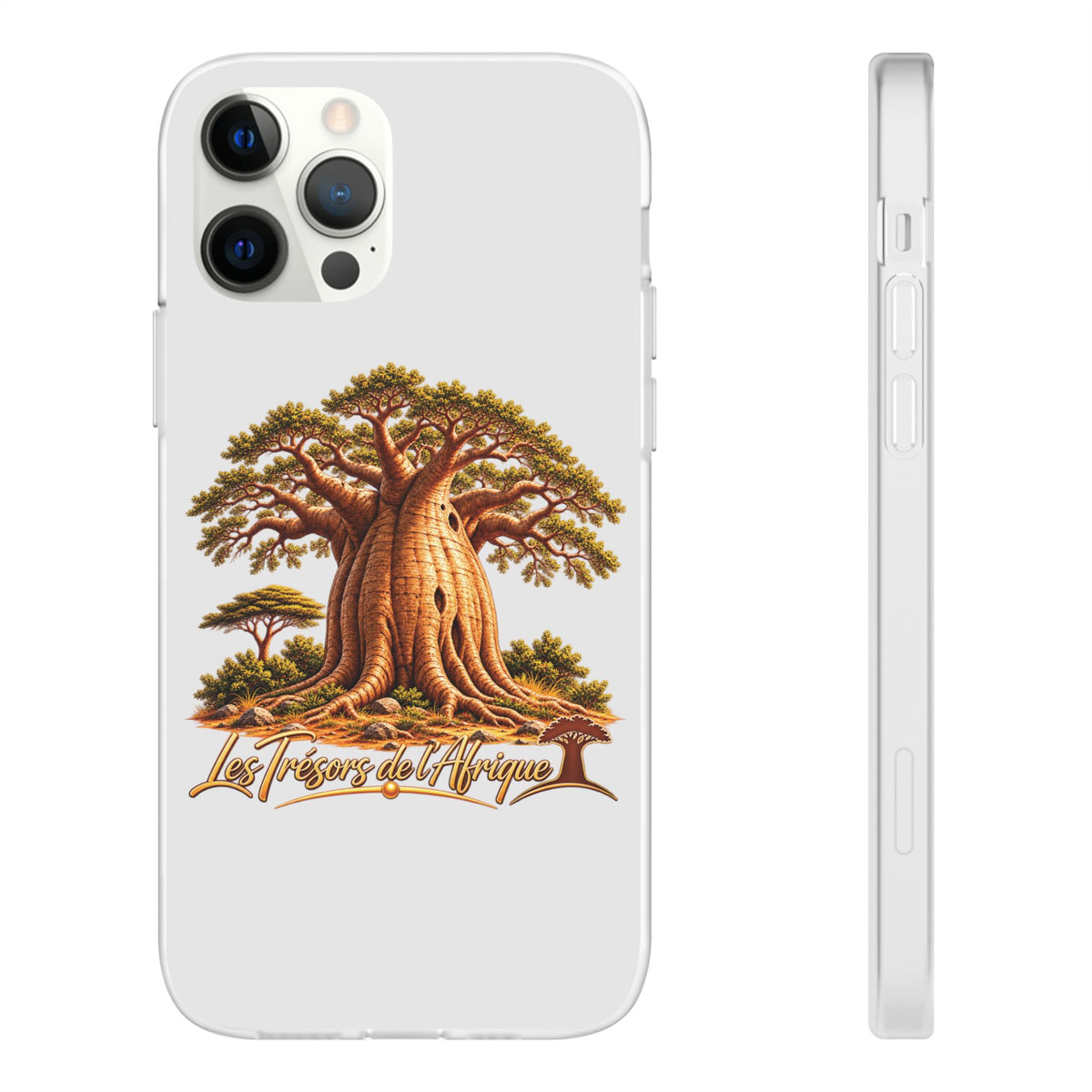 Coque – Le Baobab