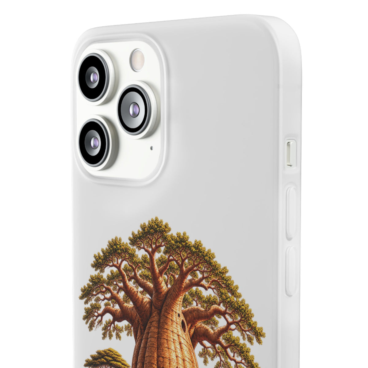 Coque – Le Baobab