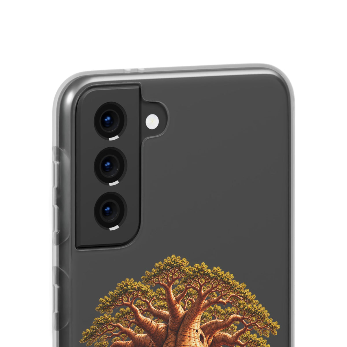 Coque – Le Baobab