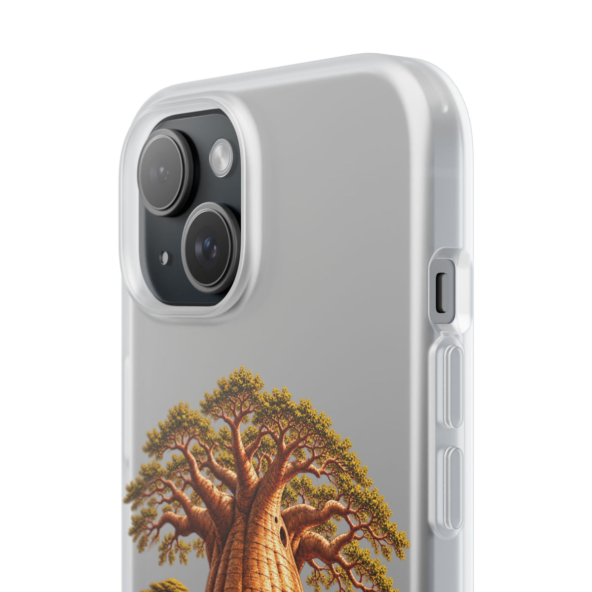 Coque – Le Baobab