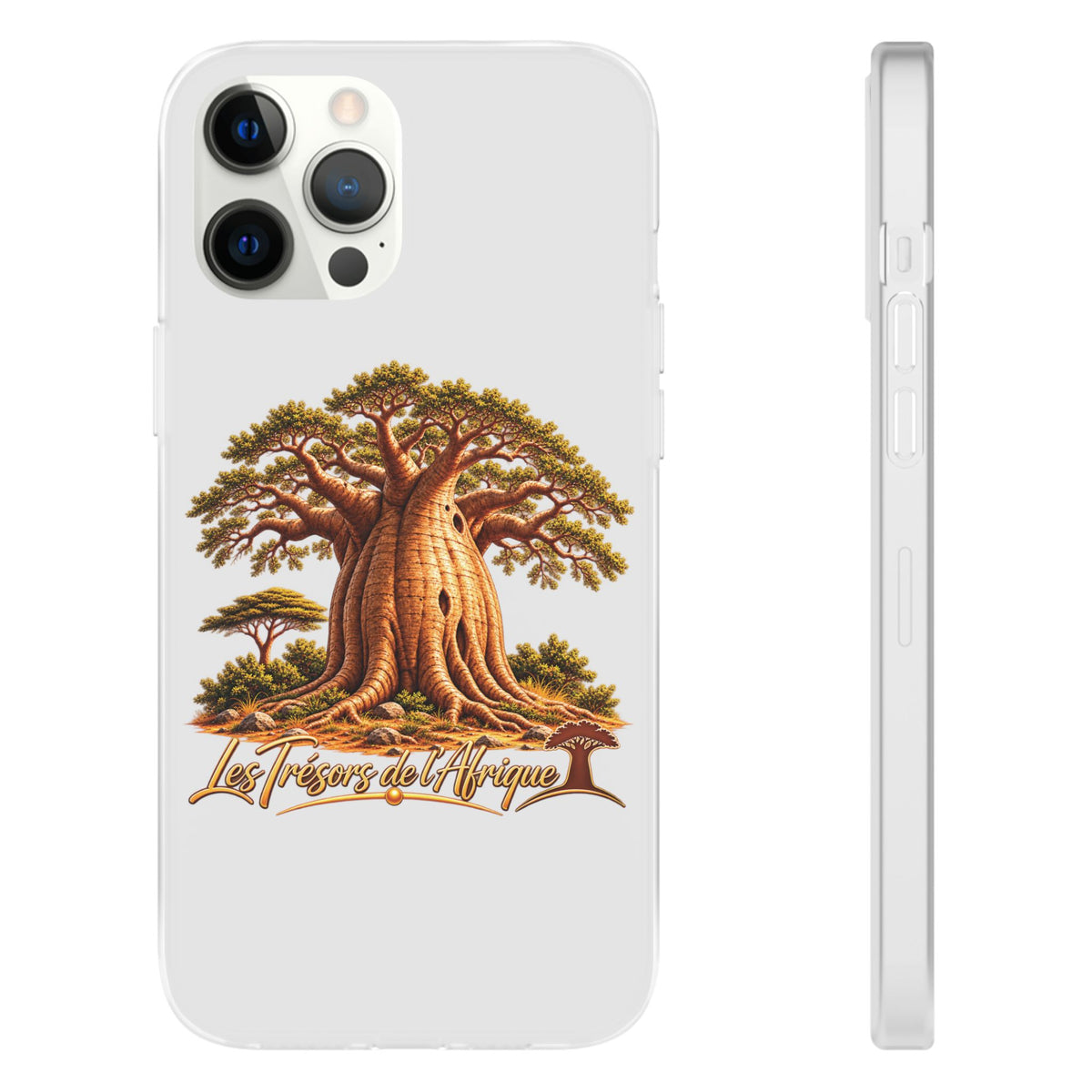 Coque – Le Baobab