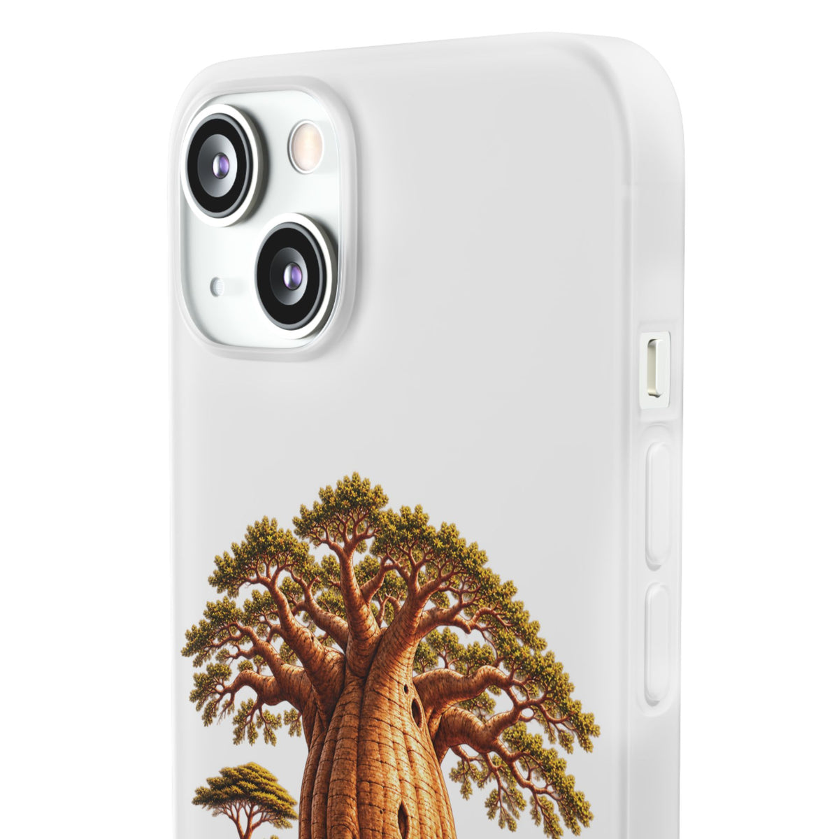 Coque – Le Baobab