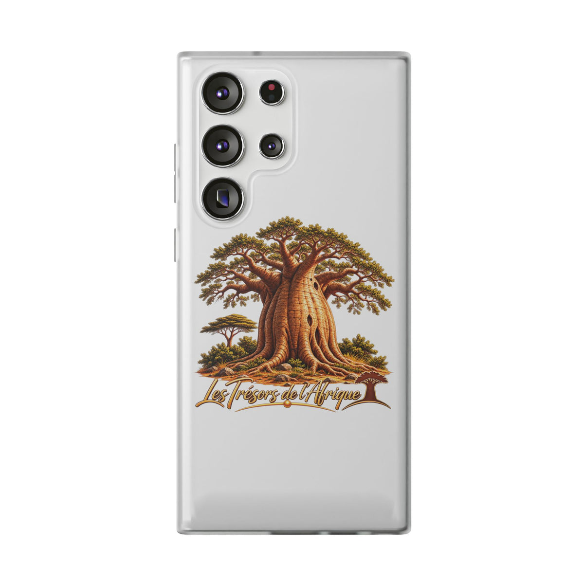 Coque – Le Baobab