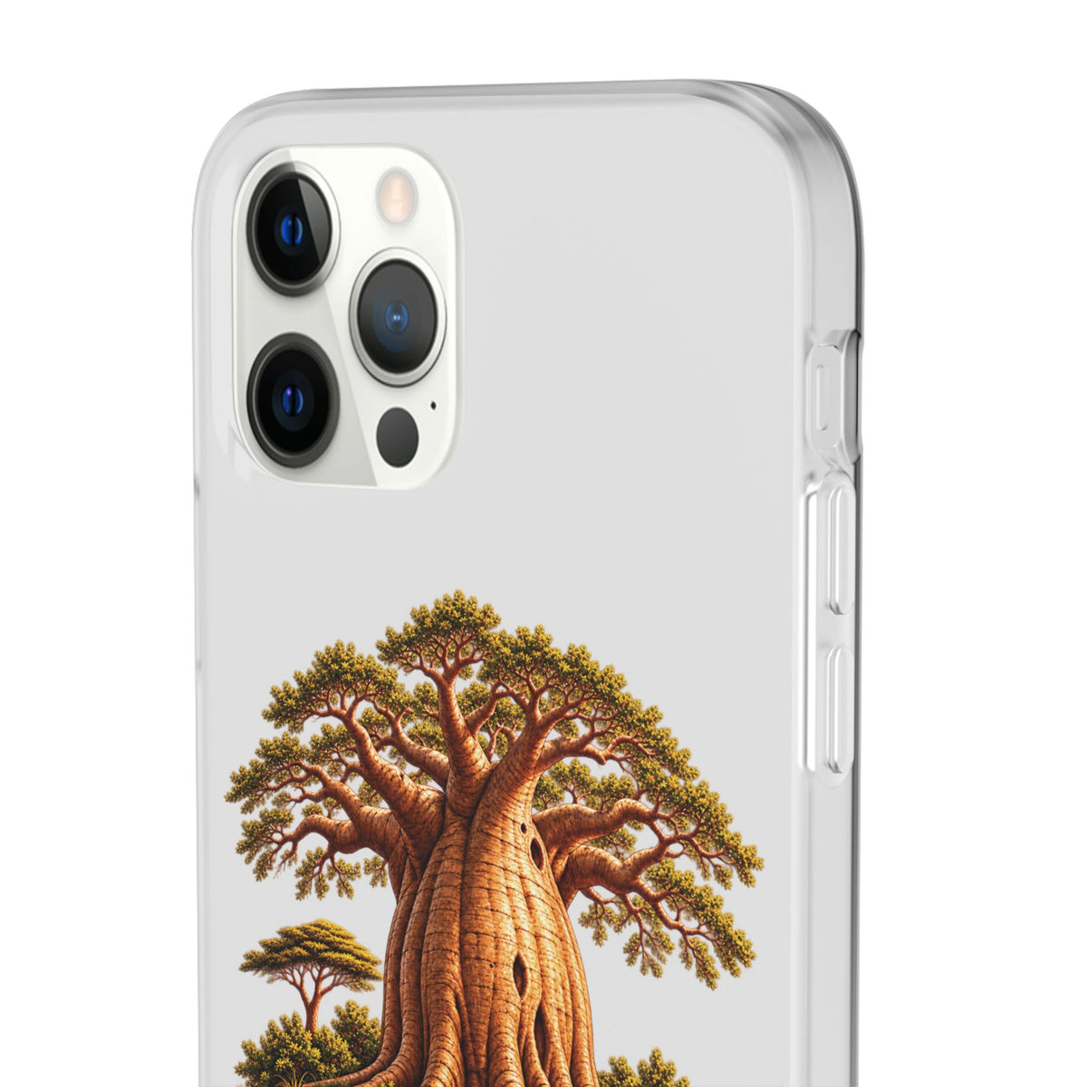 Coque – Le Baobab