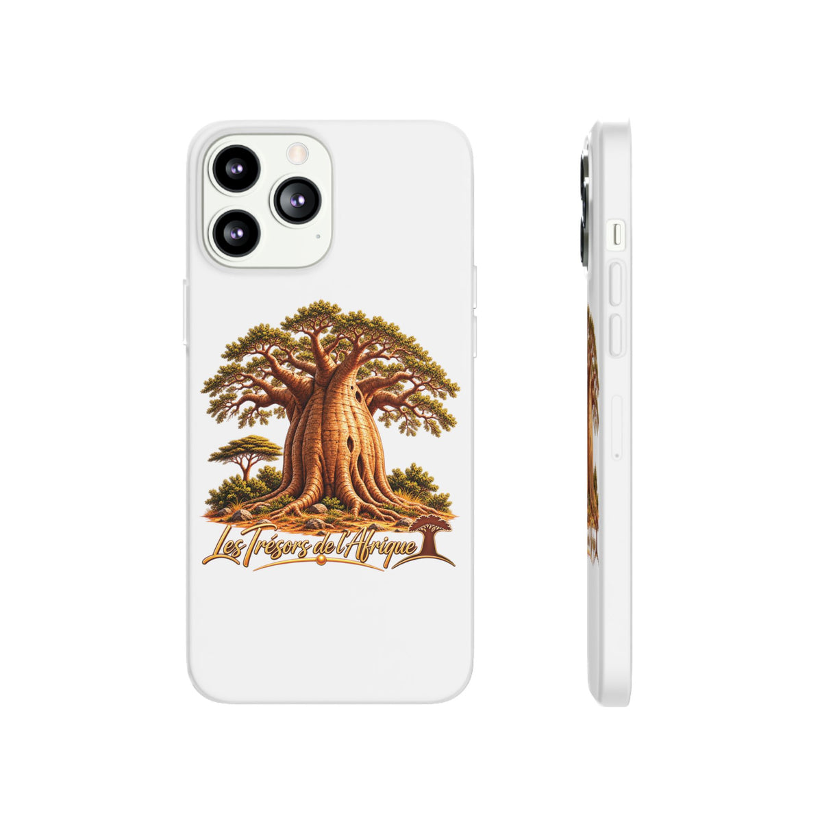 Coque – Le Baobab