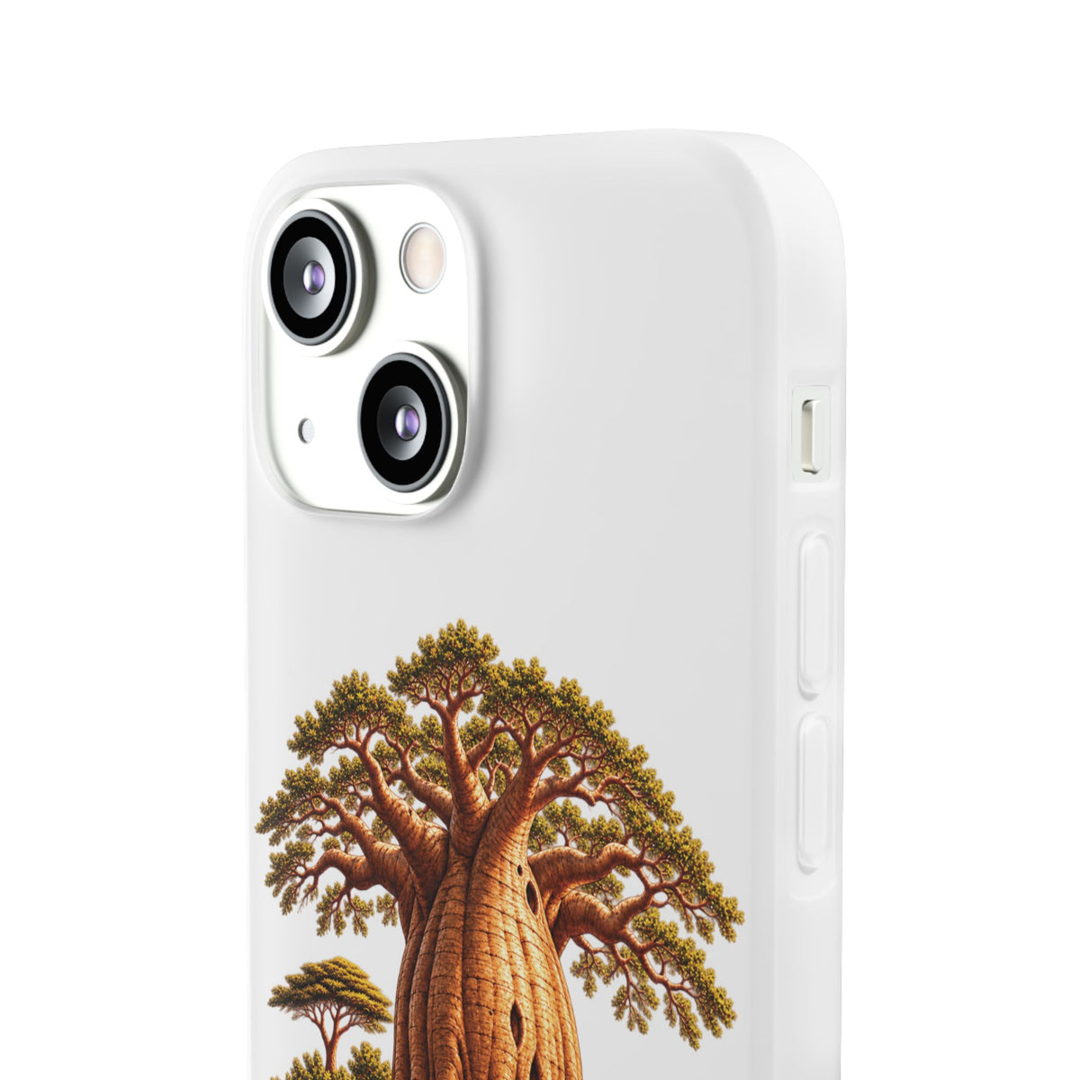 Coque – Le Baobab