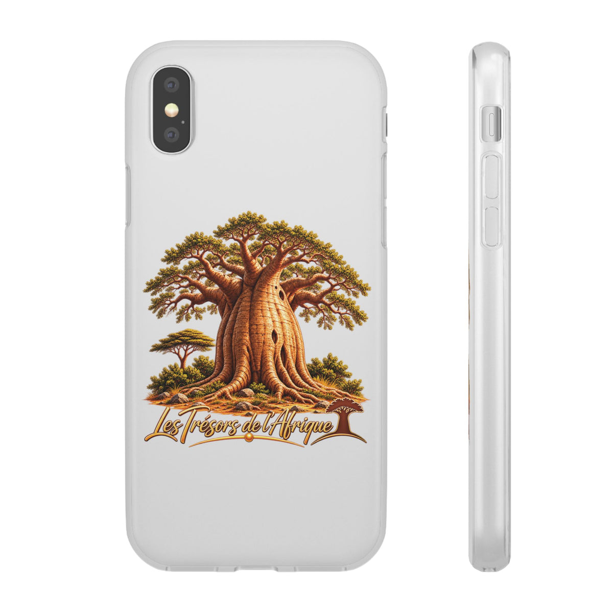 Coque – Le Baobab