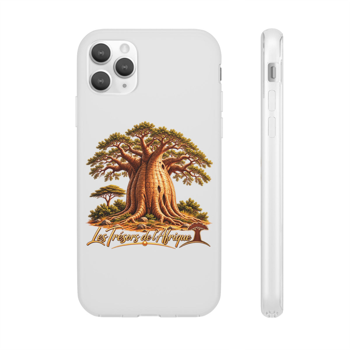 Coque – Le Baobab