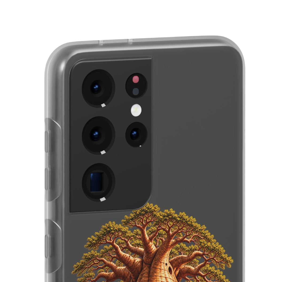 Coque – Le Baobab