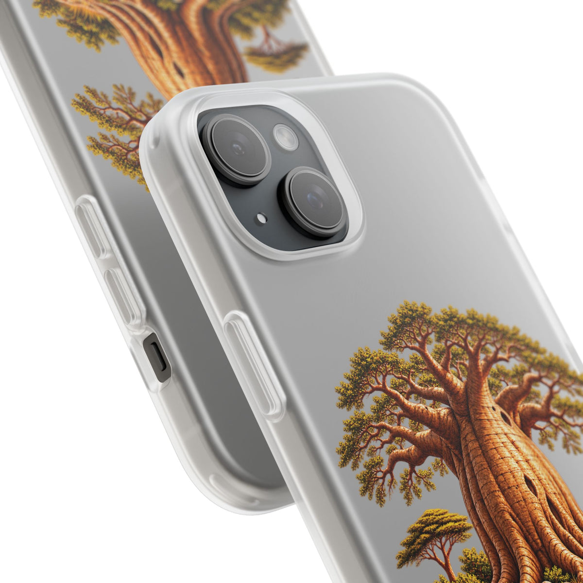 Coque – Le Baobab