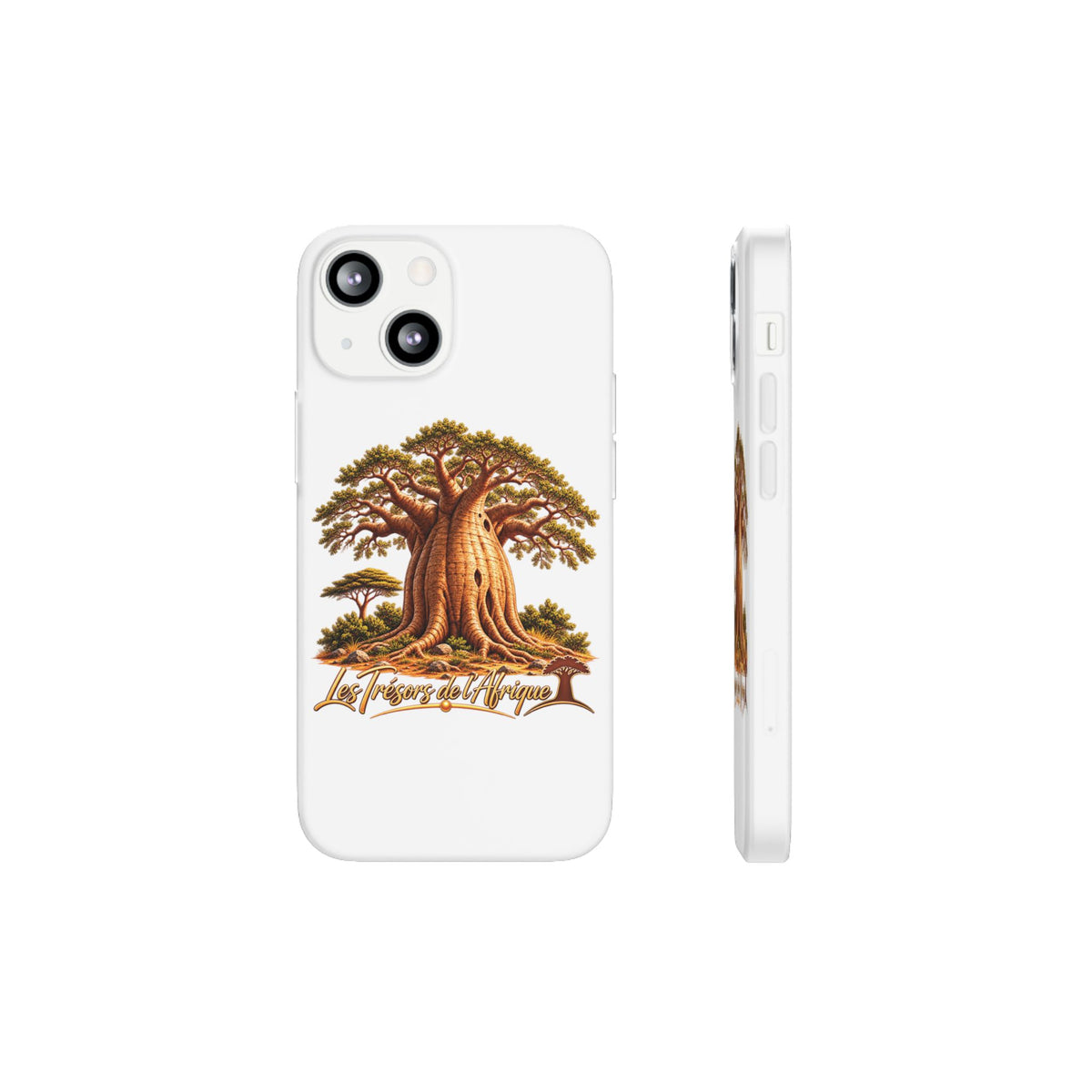 Coque – Le Baobab