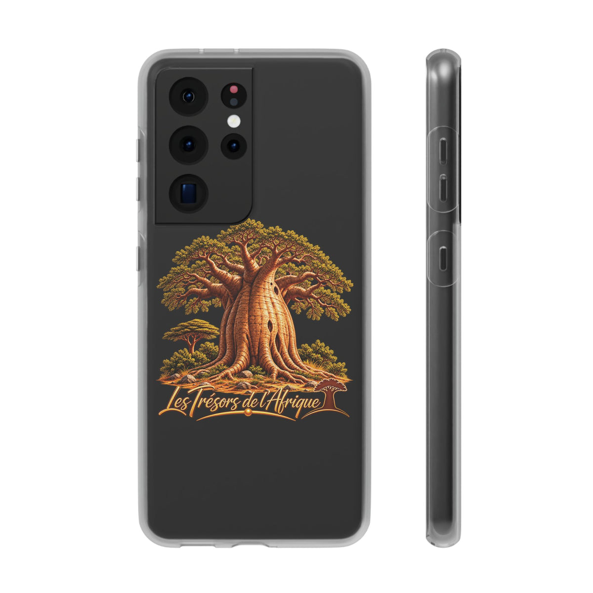Coque – Le Baobab