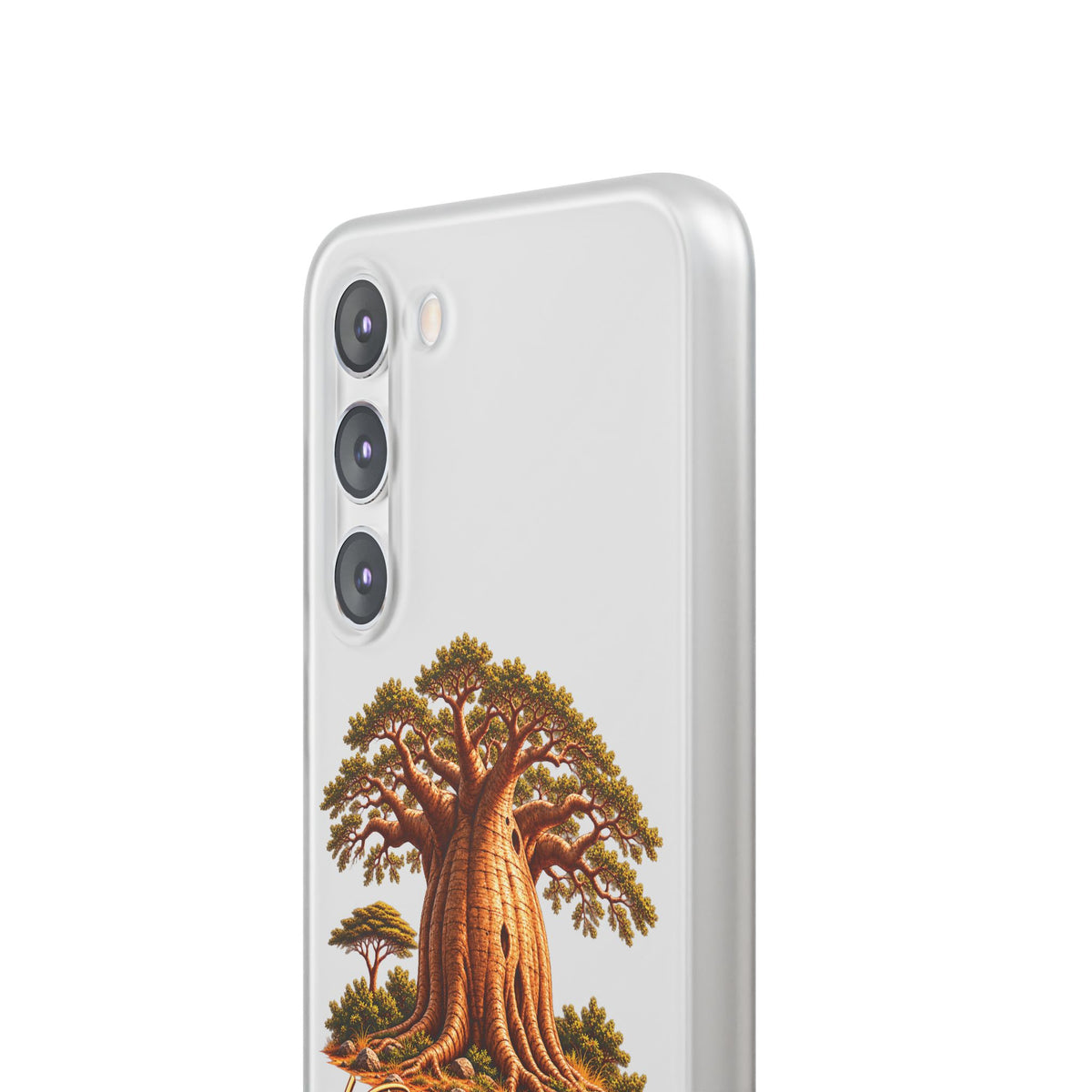 Coque – Le Baobab