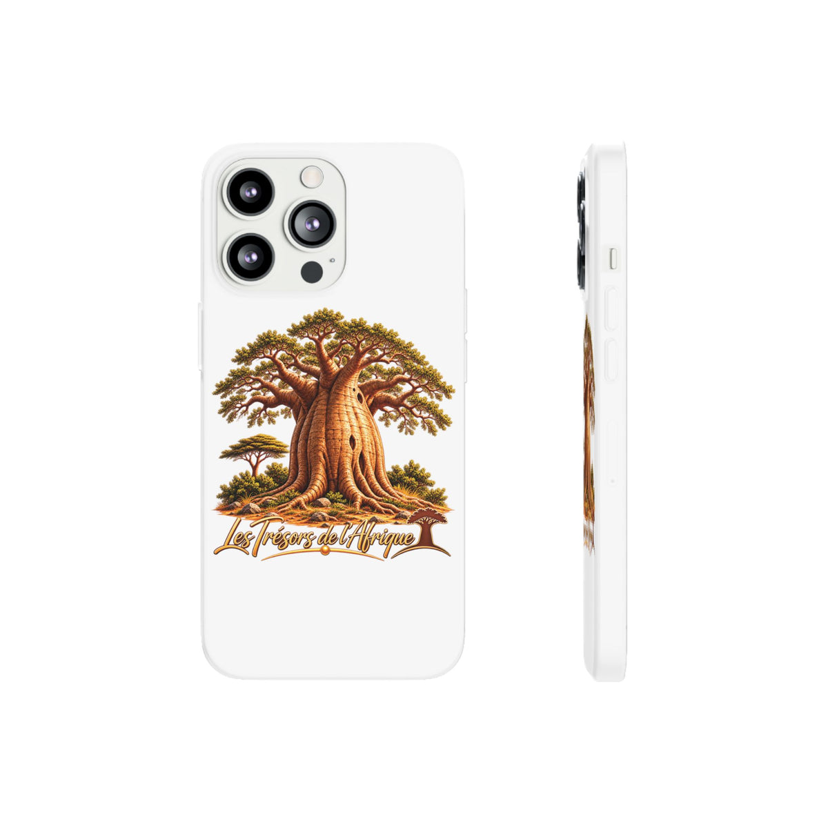 Coque – Le Baobab