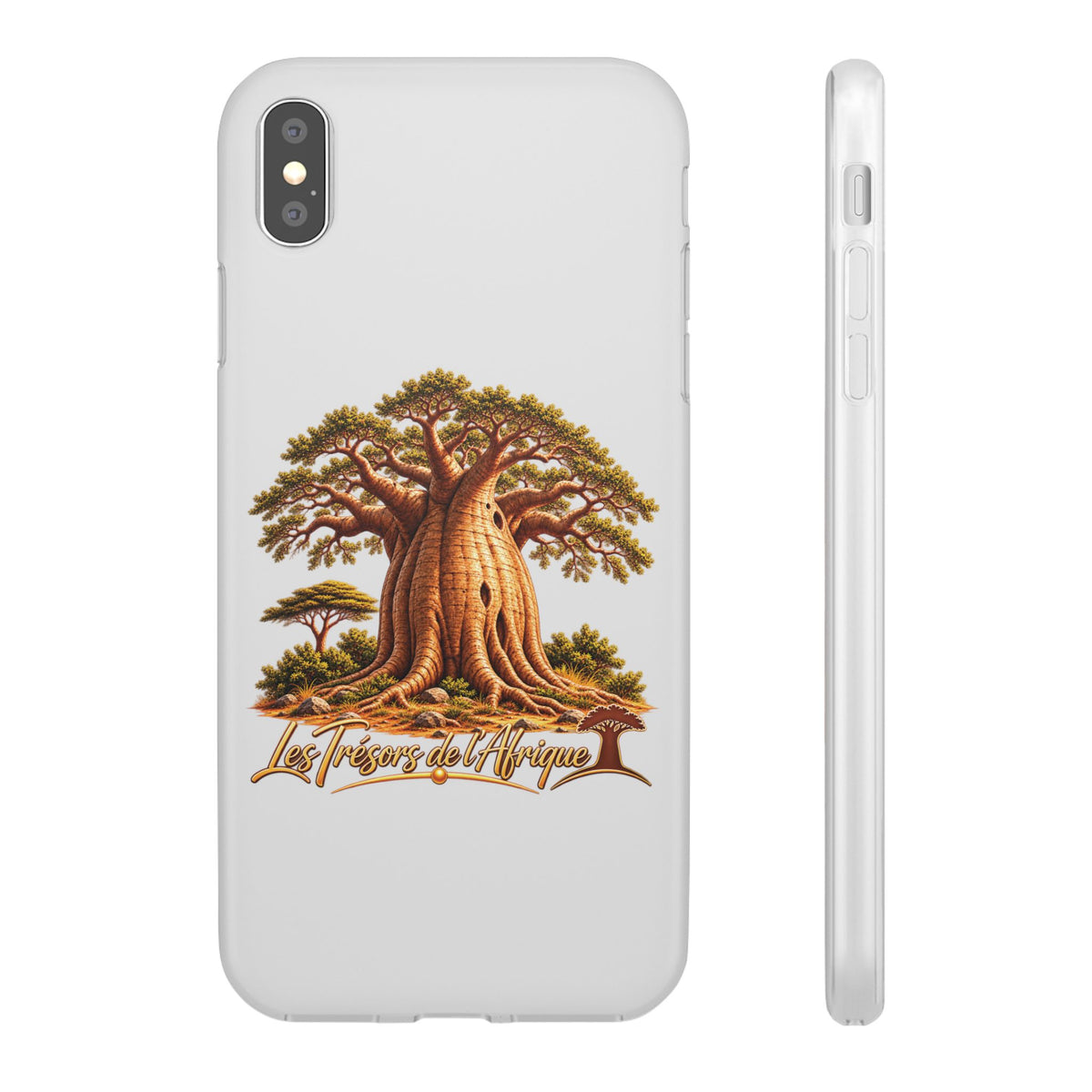 Coque – Le Baobab