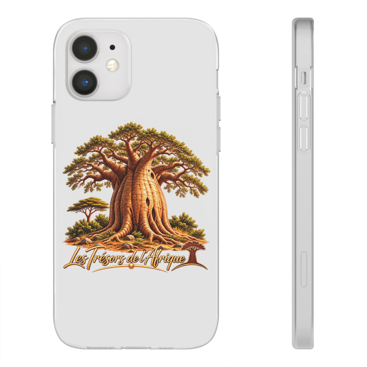Coque – Le Baobab