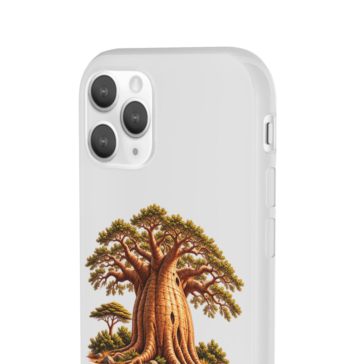 Coque – Le Baobab