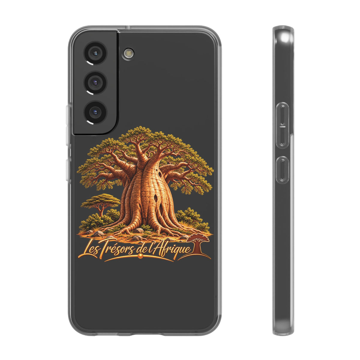 Coque – Le Baobab