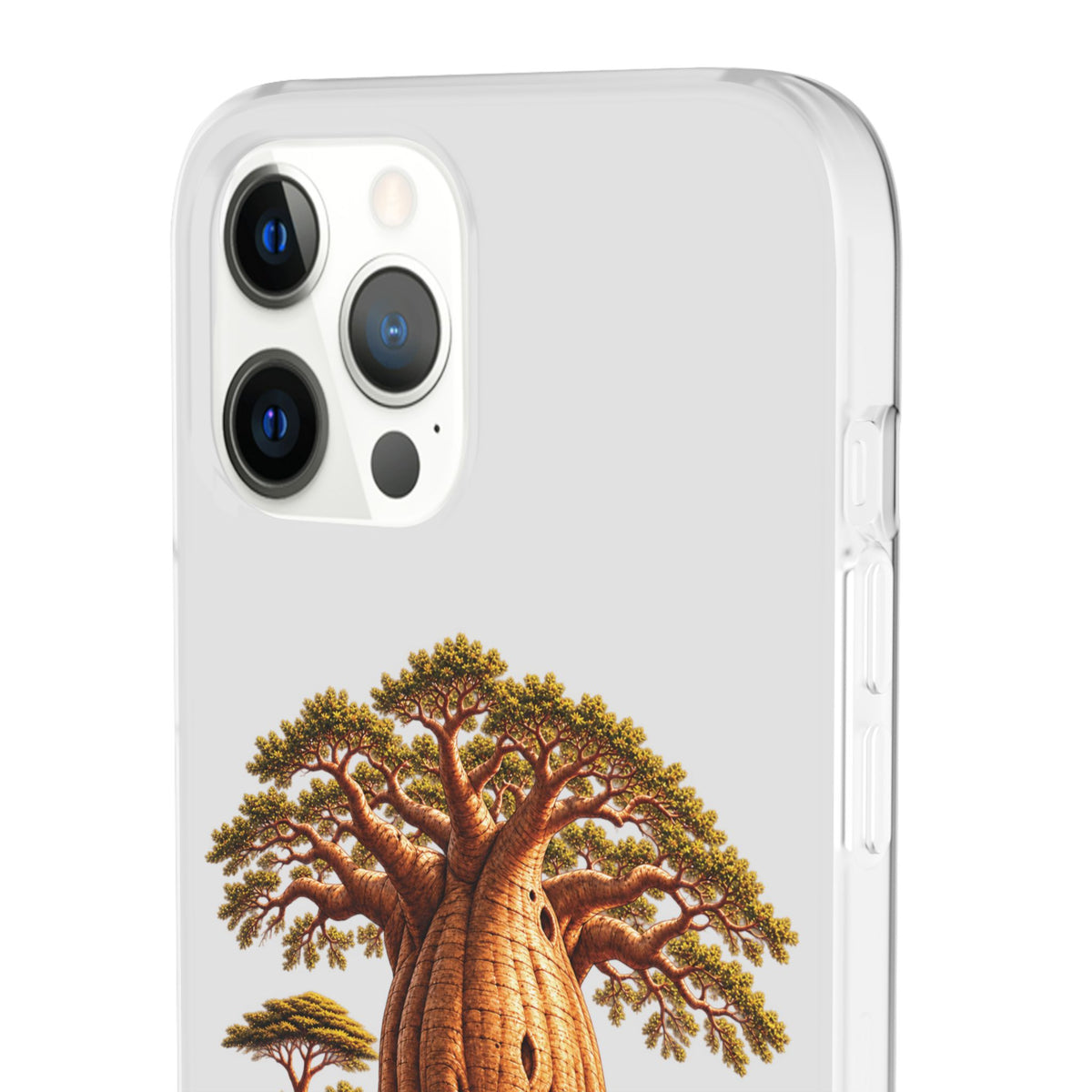 Coque – Le Baobab